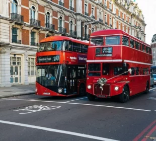 Evolution of Buses