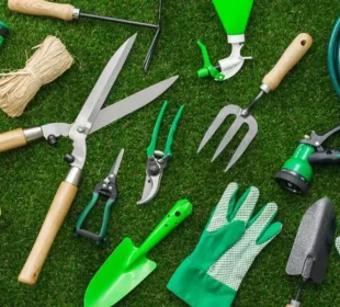 Garden Tools for Beginners