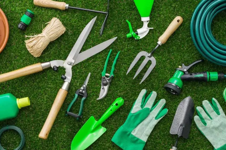 Garden Tools for Beginners